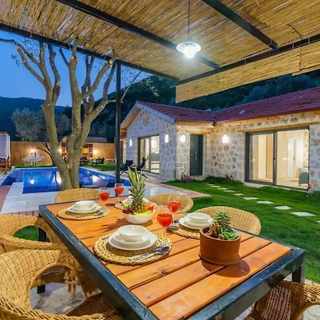 Kirlangic Evi فيلة *