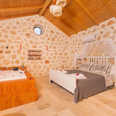 فيلة Kirlangic Evi *