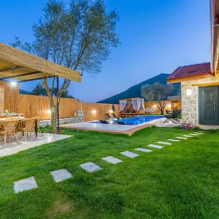 Kirlangic Evi كاس