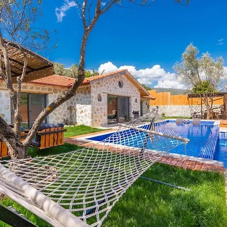 Kirlangic Evi Villa *