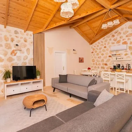 Kirlangic Evi Vilă