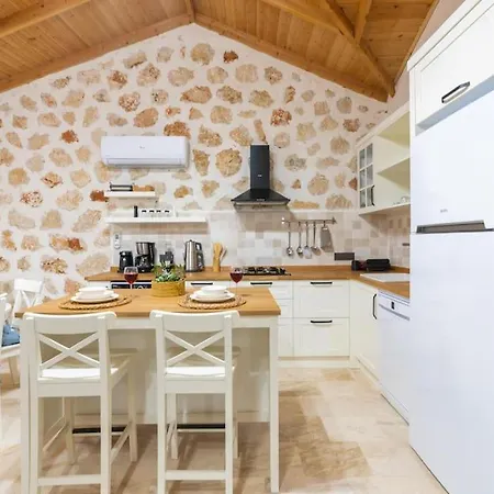 Kirlangic Evi Vilă *